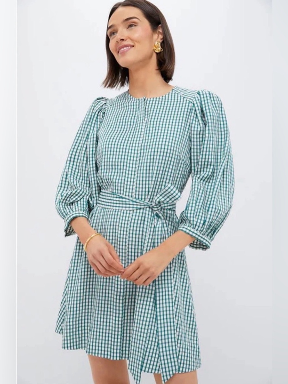 Pomander Place Cordelia seersucker puff shoulder dress in gingham green L nwt